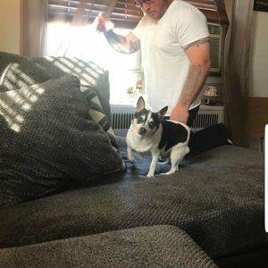 Meet your Posher, Brandon